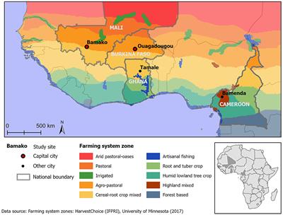 Food Flows and the Roles of Cities in West African Food Distribution Networks